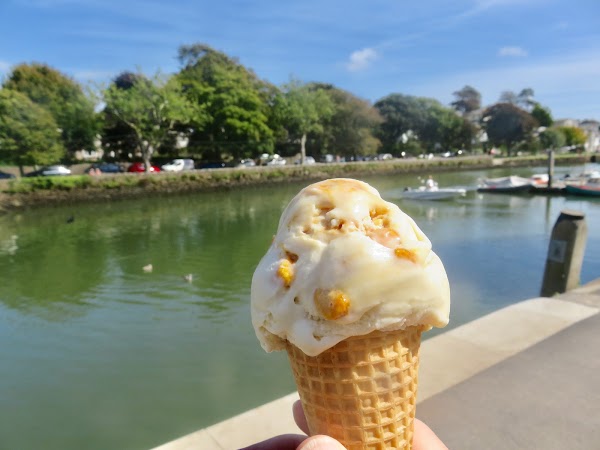 Salcombe Dairy Ice Cream & Sorbets - Kingsbridge