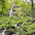 Canonteign Falls Gift Shop - Exeter