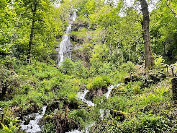 Canonteign Falls Gift Shop - Exeter