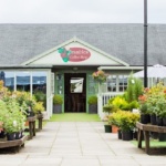 Poplar Tree Garden Centre & Coffee Shop - Durham
