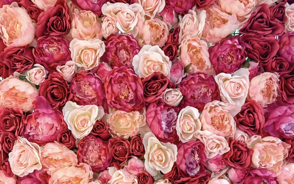 Valentine's Competition | Allergy Friendly Gifts | Allergy Companions