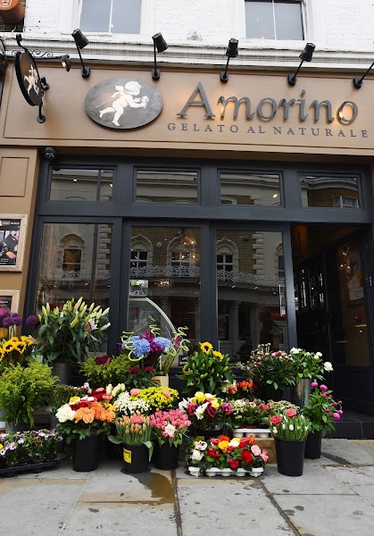 Amorino Gelato Al Naturale - Chelsea