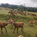 Snettisham Park - Snettisham