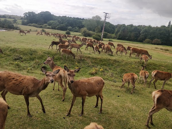 Snettisham Park - Snettisham