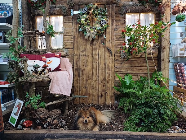 Langlands Garden Centre - Sheffield