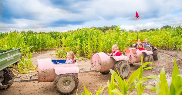 Piglets Adventure Farm - York