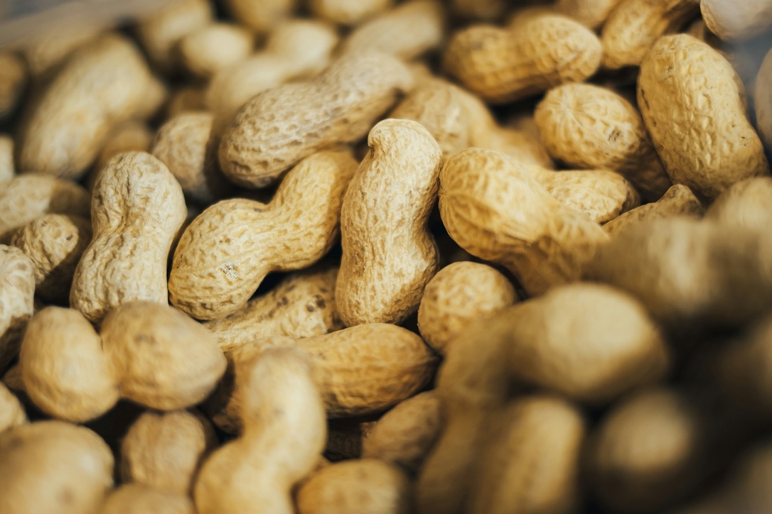 Around 6% of the UK adult population have a food allergy, new report from the Food Standards Agency finds