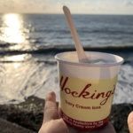Hocking's Dairy Cream Ices - Devon